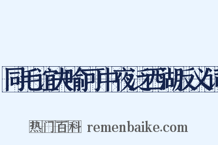 同毛谊夫喻可中夜泛西湖反义词是什么意思的图片